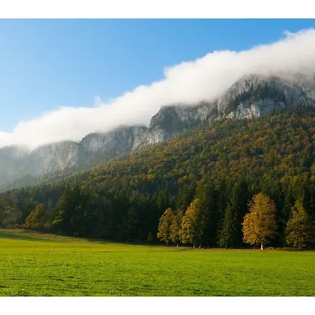 Dom wakacyjny Ferienhaus Am Wilden Kaiser *